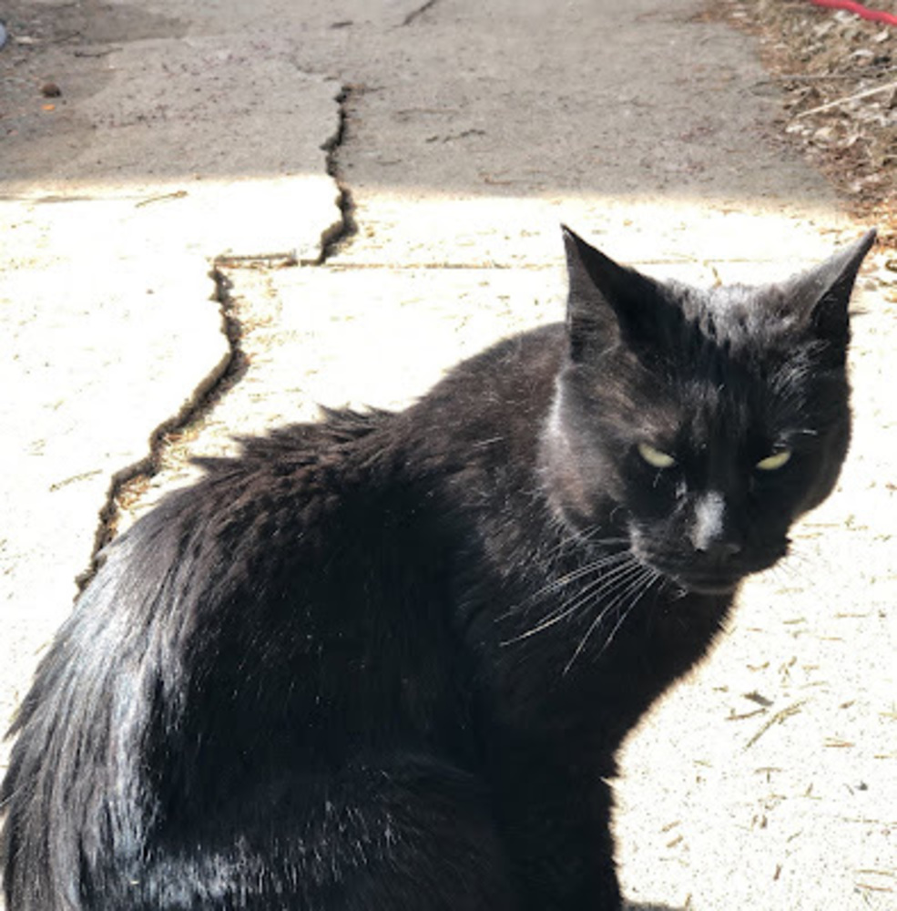 Meet your Posher, Kylie